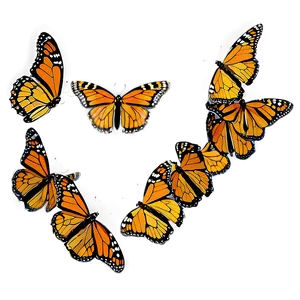 Monarch Butterflies Swarming PNG Ctx PNG