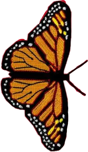 Monarch Butterfly Black Background PNG image