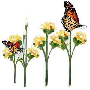 Monarch Butterfly Habitat PNG Btc24