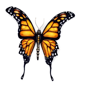 Monarch Butterfly Illustration Png Mkn41 PNG image