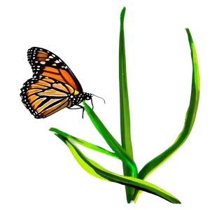 Monarch Butterfly In Flight Png 58 PNG image