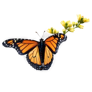 Monarch Butterfly In Flight Png 8 PNG image