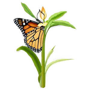 Monarch Butterfly In Garden PNG 05252024
