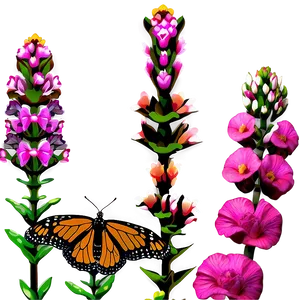 Monarch Butterfly In Garden PNG 83 PNG