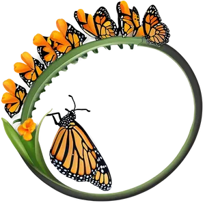 Monarch Butterfly Life Cycle PNG Fab25 PNG