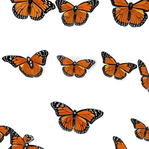 Monarch Butterfly Migration Png 14 PNG image
