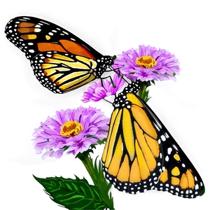 Monarch Butterfly On Flower Png Qgc98 PNG image