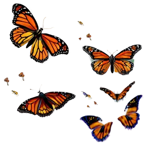 Monarch Butterfly Overlay Png 05252024 PNG image