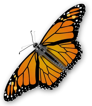 Monarch Butterfly Robot Hybrid PNG image