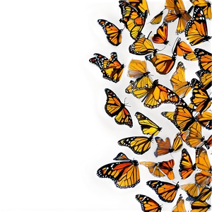 Monarch Butterfly Swarm Png Oko87 PNG image