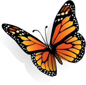 Monarch Butterfly Vector Art PNG image