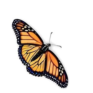 Monarch Butterfly Wings Spread Png 05252024 PNG image