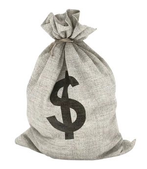 Money Bag Dollar Sign