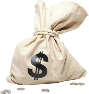 Money Bagwith Dollar Sign PNG image