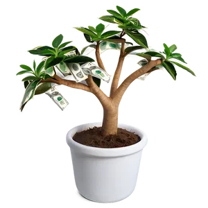 Money Tree B PNG image