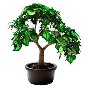 Money Tree In Landscape PNG Vmc