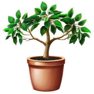 Money Tree In Pot PNG Jtq30 PNG