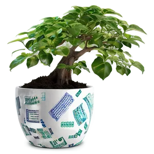 Money Tree In Pot PNG Mre