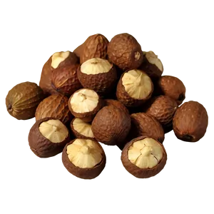 Mongongo Nut PNG 8 PNG