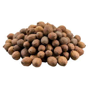 Mongongo Nut PNG Okp20