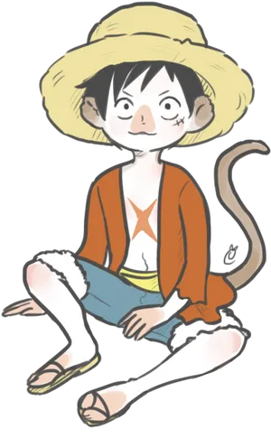 Monkey D Luffy Anime Character Illustration PNG image