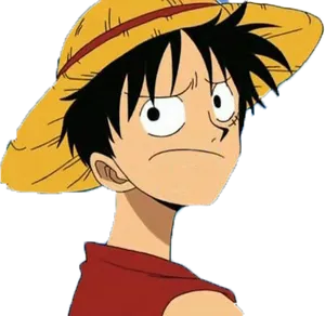 Monkey D Luffy Straw Hat Expression PNG image