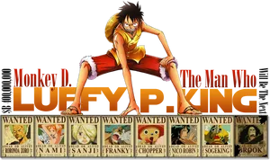 Monkey D Luffy The Pirate King PNG