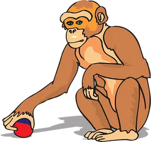 Monkey Touching Red Blue Ball PNG image