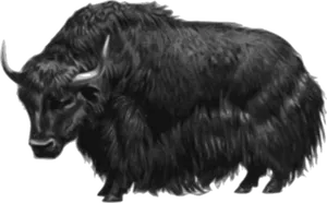 Monochrome Bison Illustration