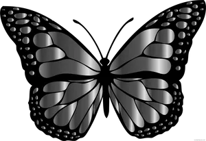 Monochrome Butterfly Illustration PNG image