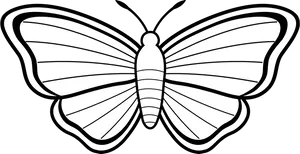 Monochrome Butterfly Illustration PNG image