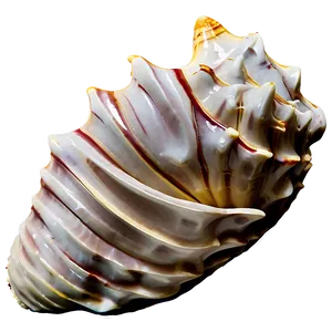 Monochrome Conch Shell PNG Pwq