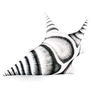 Monochrome Conch Shell PNG Xnq62 PNG