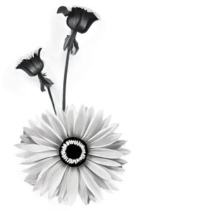 Monochrome Corner Flower PNG 31 PNG