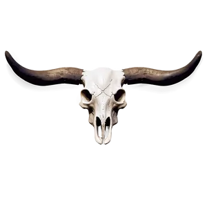 Monochrome Cow Skull PNG 06132024