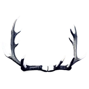 Monochrome Deer Antler PNG 79