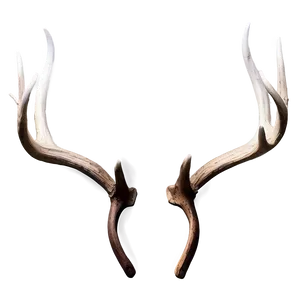 Monochrome Deer Antler PNG Kpc