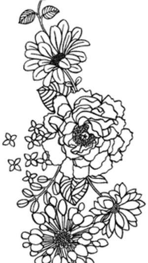 Monochrome Floral Sketch Art PNG image