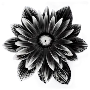 Monochrome Indie Flower PNG 06252024