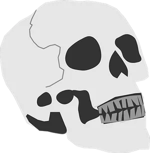 Monochrome Skull Illustration