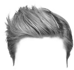 Monochrome Stylized Hair Wig PNG image