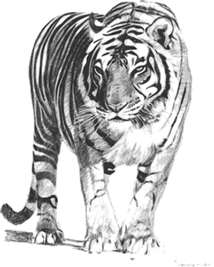 Monochrome Tiger Art