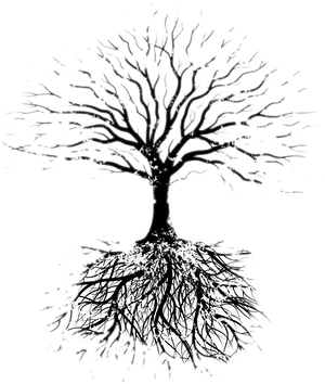Monochrome_ Tree_with_ Roots PNG image