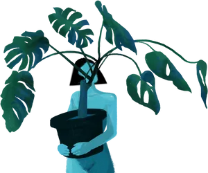 Monstera Deliciosa Indoor Plant Illustration PNG image