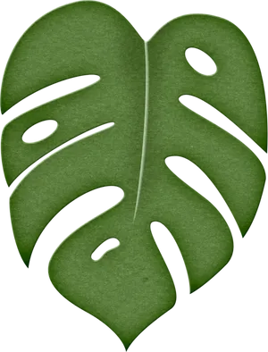 Monstera Deliciosa Leaf Illustration PNG image
