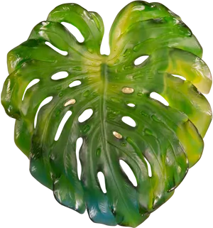 Monstera Deliciosa Leaf Isolated PNG image