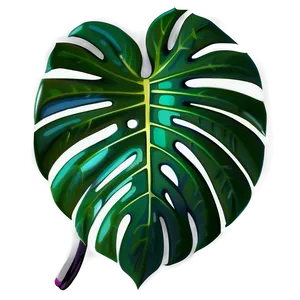 Monstera Deliciosa Vector PNG 05232024
