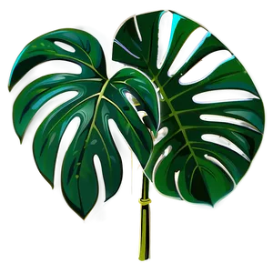 Monstera Deliciosa Vector Png Aal1 PNG image