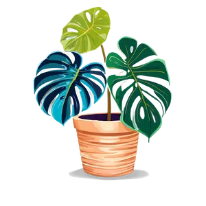 Monstera In Pot Drawing PNG 31 PNG