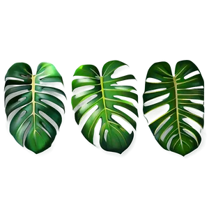 Monstera Leaf Abstract Art PNG Hsn1 PNG
